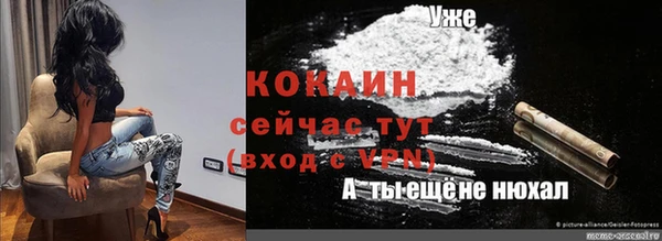 прущие крисы Каменка