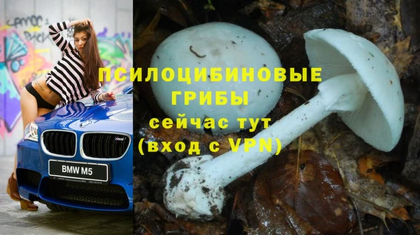 а пвп мука Касимов