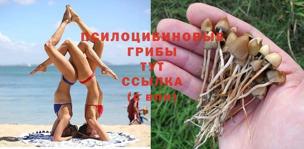 а пвп мука Касимов
