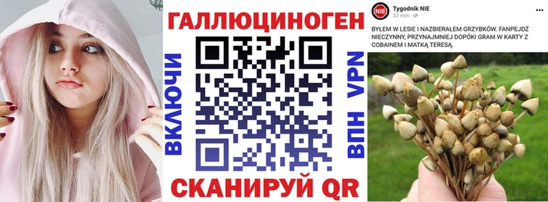 где можно купить наркотик  Минеральные Воды  Псилоцибиновые грибы Psilocybe 