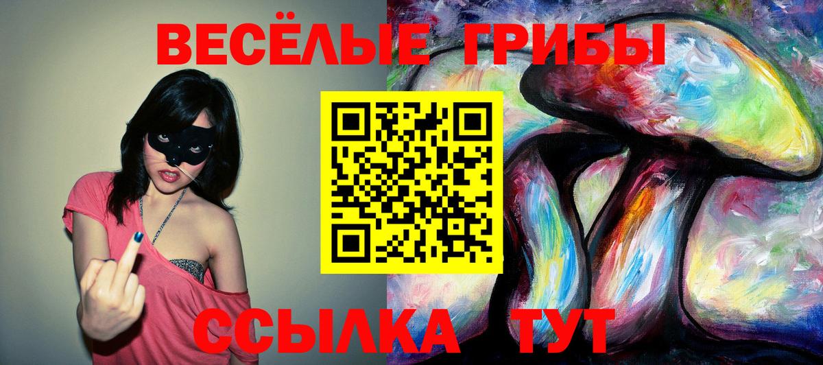 Псилоцибиновые грибы мицелий Минеральные Воды